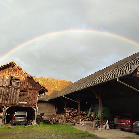 Chez Marguerite Gites A La Ferme Horbourg-Wihr Zewnętrze zdjęcie