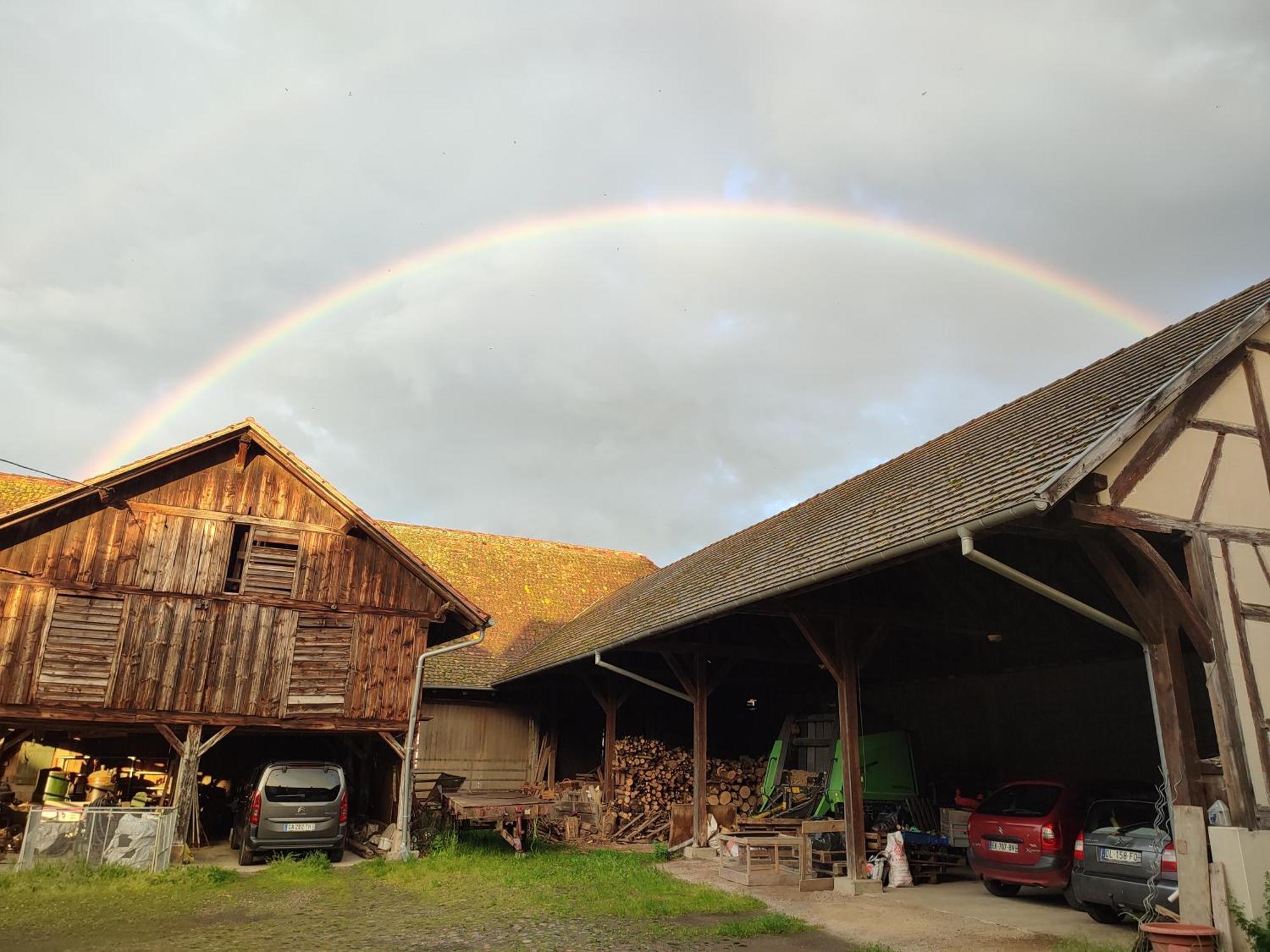 Chez Marguerite Gites A La Ferme Horbourg-Wihr Zewnętrze zdjęcie