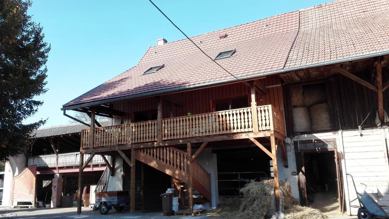 Chez Marguerite Gites A La Ferme Horbourg-Wihr Zewnętrze zdjęcie