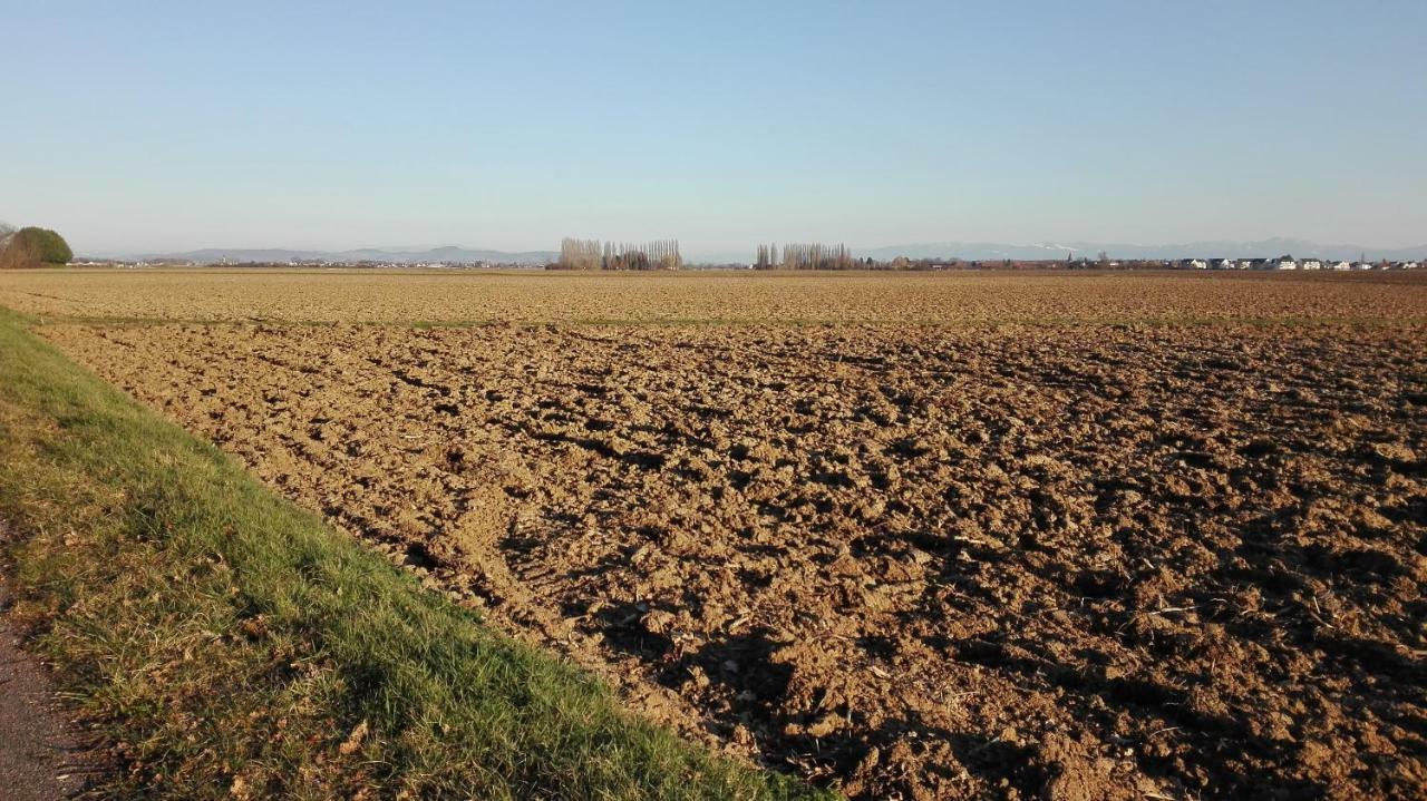 Chez Marguerite Gites A La Ferme Horbourg-Wihr Zewnętrze zdjęcie